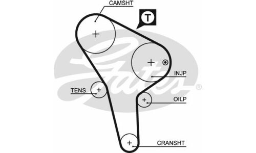 97135х25 Ремень ГРМ Gates, арт. 5176