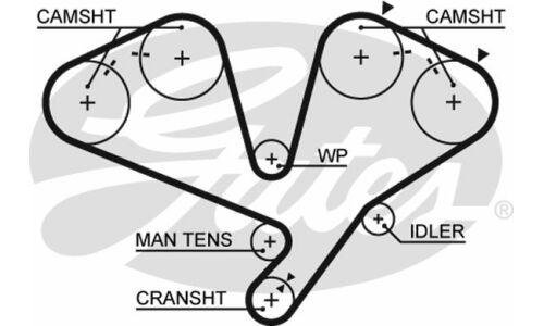 Ремень ГРМ Gates, арт. 5442XS