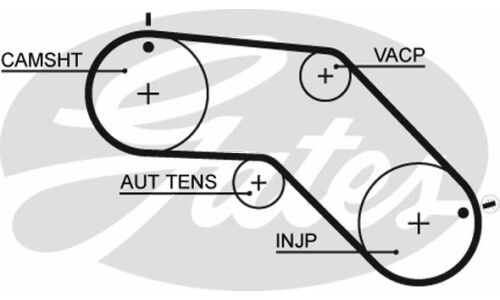 Ремень ГРМ Gates, арт. 5504XS