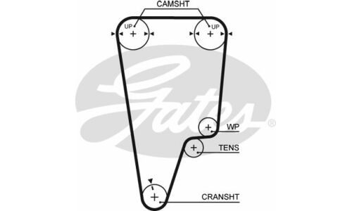 Ремень ГРМ Gates, арт. 5506XS