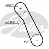 Ремень ГРМ Gates, арт. 5541XS