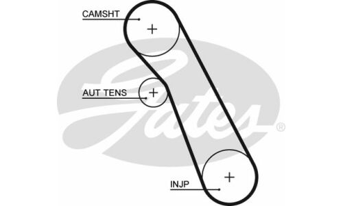 Ремень ГРМ Gates, арт. 5541XS