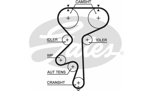 Ремень ГРМ Gates, арт. 5542XS