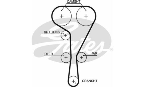 Ремень ГРМ Gates, арт. 5550XS