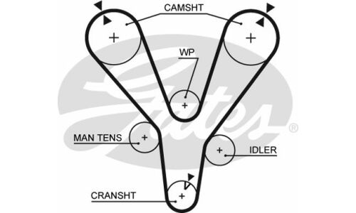 Ремень ГРМ Gates (207x32), арт. 5555XS