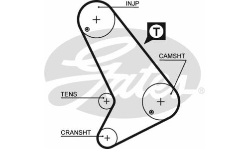 130x28 Ремень ГРМ Gates, арт. 5572XS