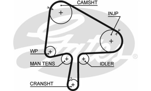 Ремень ГРМ Gates, арт. 5596XS