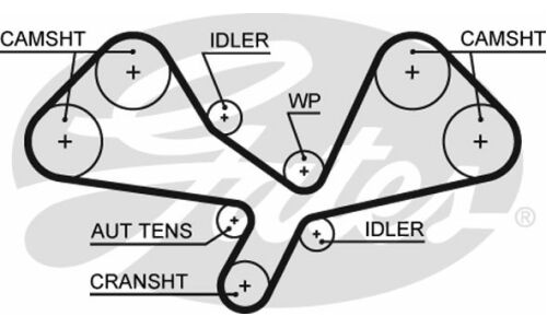281x30 Ремень ГРМ Gates, арт. 5605XS