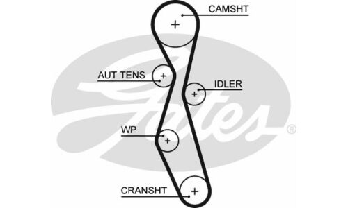 Ремень ГРМ Gates, арт. 5606XS