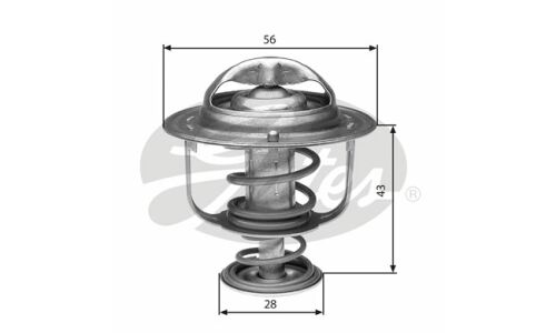 Термостат Gates, арт. TH31388G1