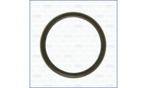 Прокладка термостата Ajusa, арт. 00538100