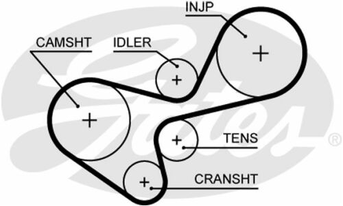 Ремень ГРМ Gates, арт. 5639XS