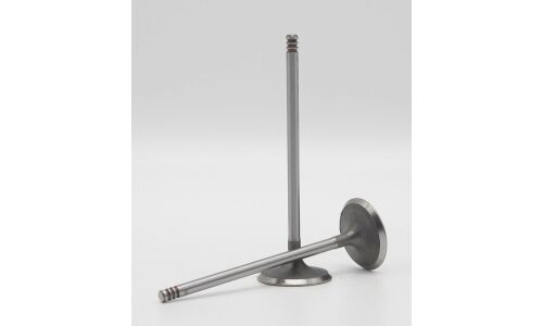 Клапан впускной AUTOWELT, арт. VI-53004