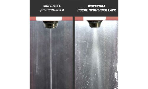 Промывка инжекторов Lavr Petrol Injection Purge ML101, для бензиновых двигателей, с эффектом раскоксовки, для промывочных станций, бутылка 1л, арт. Ln2001