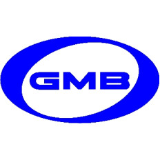 Ролик ремня ГРМ GMB, арт. GT20040